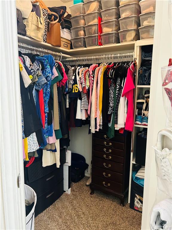 walk in closet with carpet floors