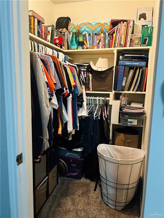 spacious closet with carpet