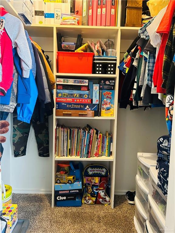 spacious closet featuring carpet floors