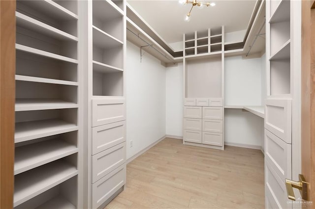 spacious closet featuring light hardwood / wood-style flooring