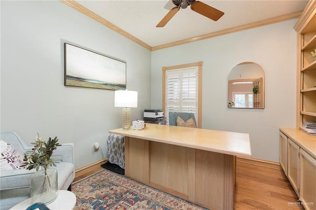 home office featuring ceiling fan, light hardwood / wood-style floors, and ornamental molding