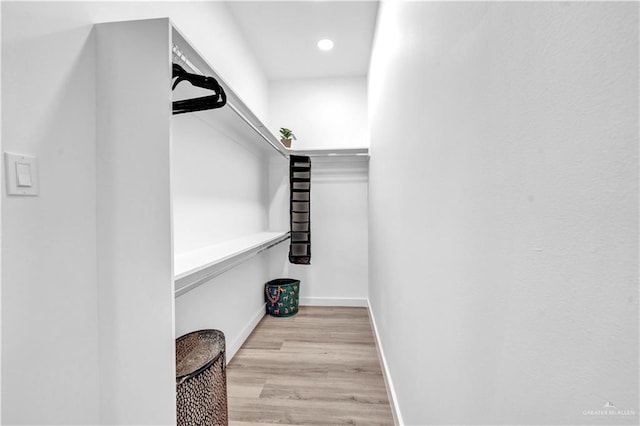 walk in closet featuring wood finished floors