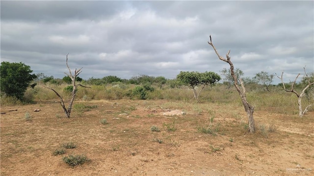 view of landscape