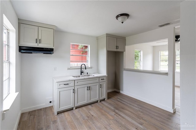 kitchen featuring sink, gray cabinetry, and light hardwood / wood-style flooring