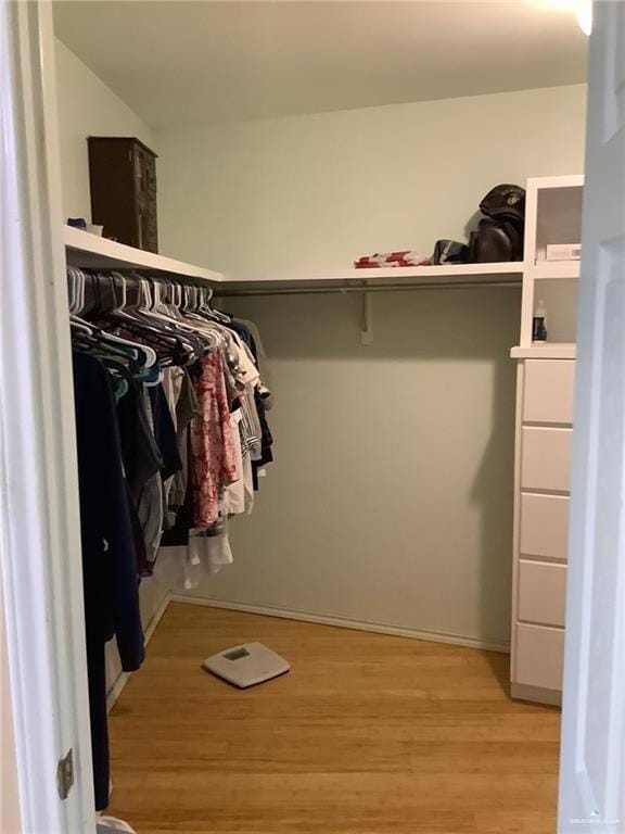 spacious closet with light hardwood / wood-style floors