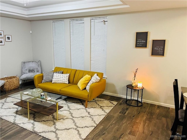 living room featuring a tray ceiling and dark wood-type flooring