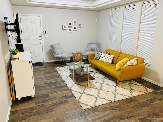 living area with dark hardwood / wood-style floors