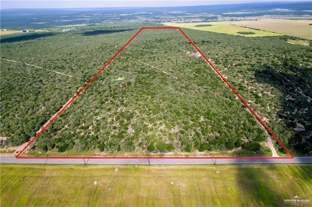 0 N Brushline Rd, Edinburg, TX 78542 - photo 1