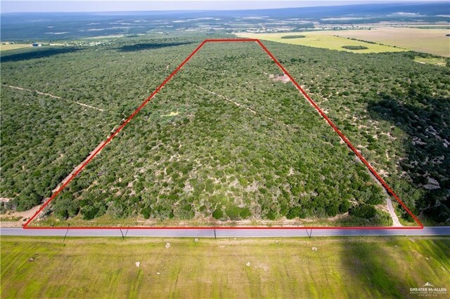 0 N Brushline Rd, Edinburg, TX 78542 - photo 1