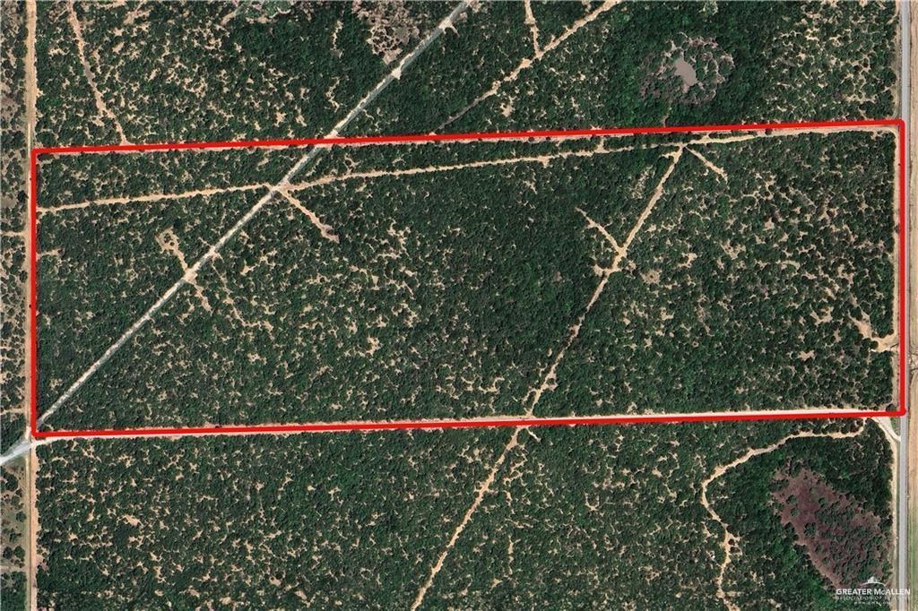 0 N Brushline Rd, Edinburg, TX 78542 - photo 4
