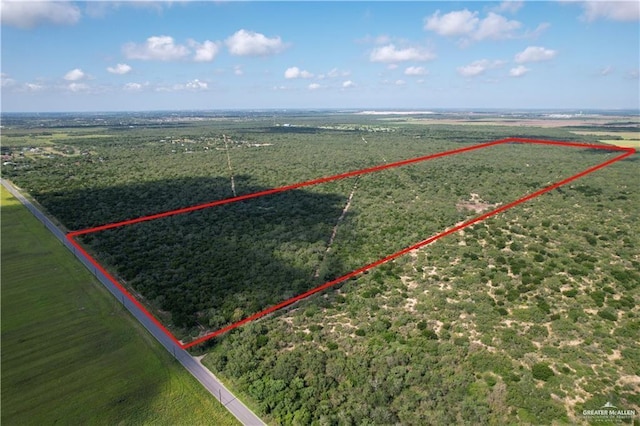 Listing photo 2 for 0 N Brushline Rd, Edinburg TX 78542