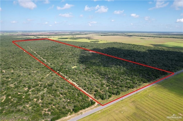 Listing photo 3 for 0 N Brushline Rd, Edinburg TX 78542