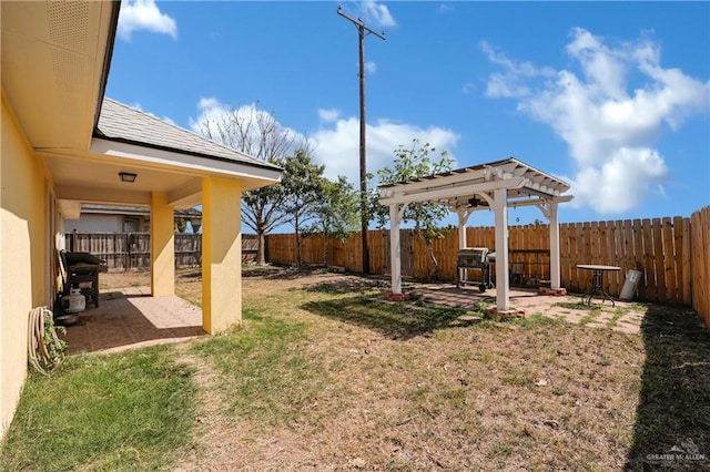 view of yard with a patio and a fenced backyard