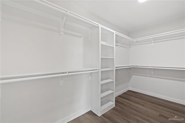 3400 Ozark Ave, Mcallen, TX 78504 - walk in closet with dark wood-type flooring