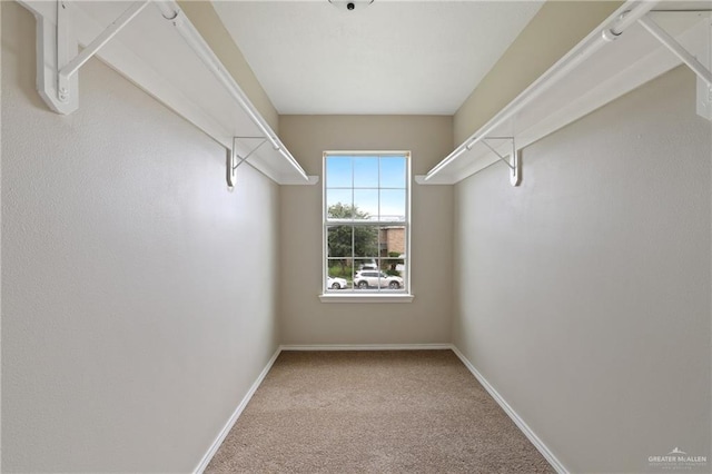 1730 W Jefferson St, Weslaco, TX 78599 - spacious closet with carpet floors