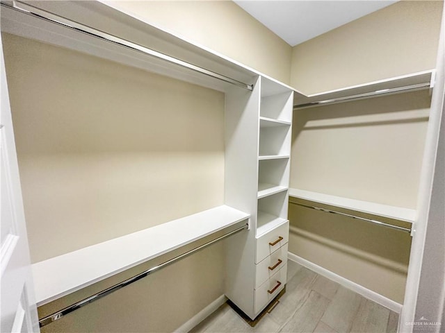 3100 E Zinnia Ave, Alton, TX 78573 - walk in closet with light wood-style flooring