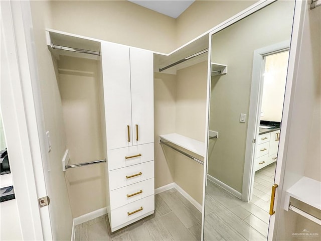 3100 E Zinnia Ave, Alton, TX 78573 - spacious closet with light wood finished floors