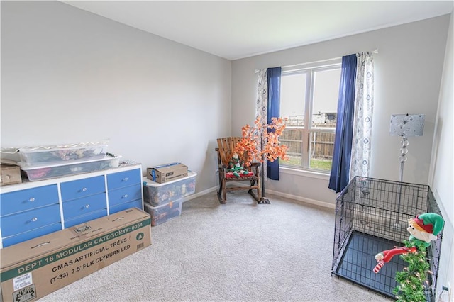 recreation room featuring carpet