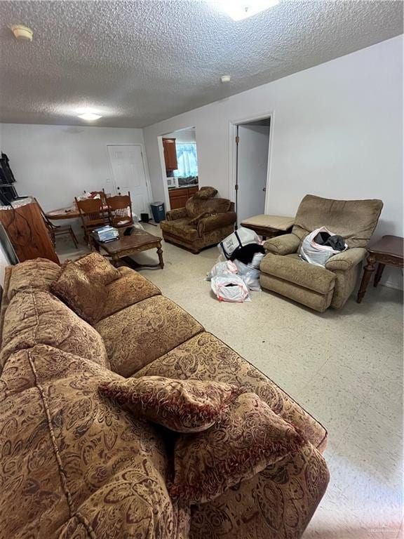 living room with a textured ceiling