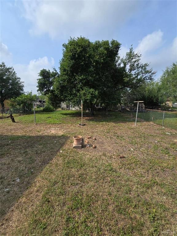 1714 E Loeb St, Edinburg, TX 78541 - view of yard