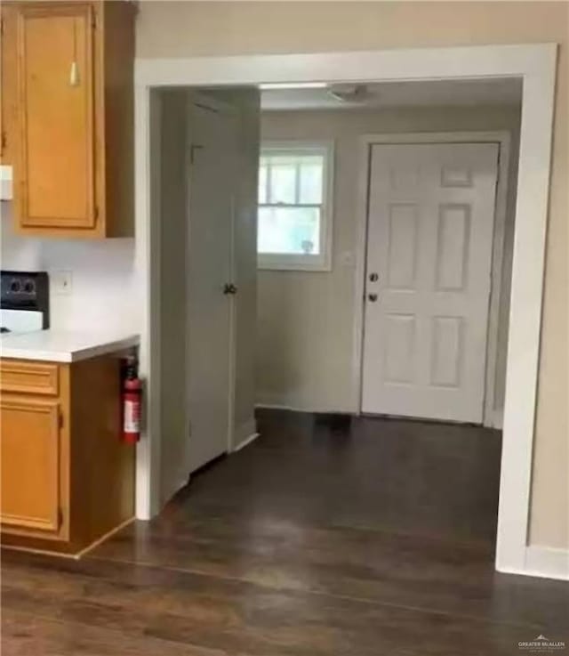 222 W Buchanan St, Harlingen, TX 78550 - entryway with dark wood-style floors
