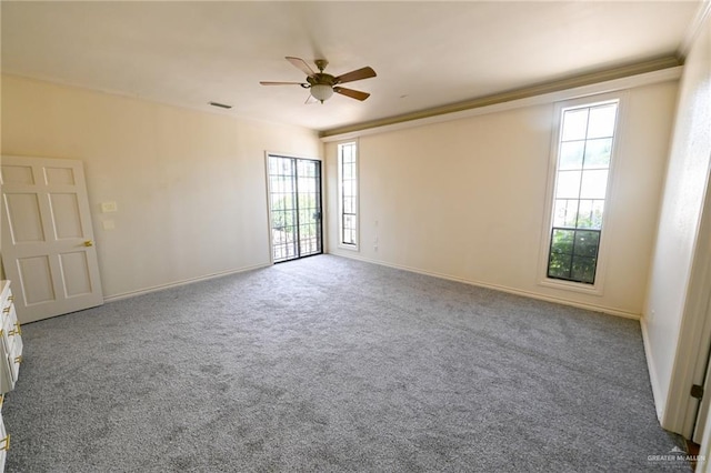 201 W Pineridge Ln, Mcallen, TX 78503 - photo 10