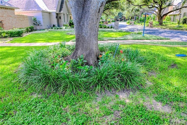201 W Pineridge Ln, Mcallen, TX 78503 - photo 4