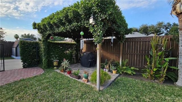 view of yard featuring a patio area