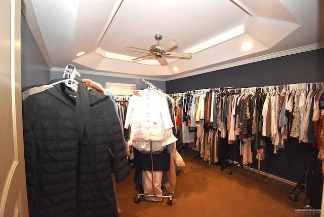 walk in closet featuring a raised ceiling, ceiling fan, and carpet floors