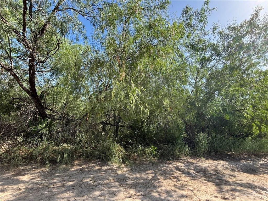 9 1st St Unit 2Rd, Mission, TX 78572 - photo 1