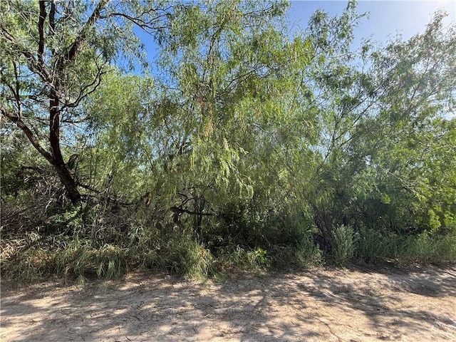 9 1st St Unit 2Rd, Mission, TX 78572 - photo 1