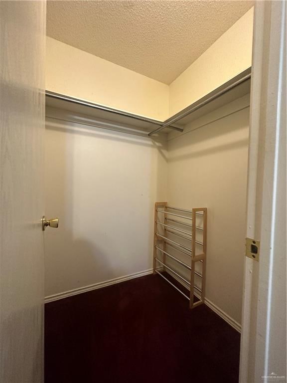 9205 N 31st St, Mcallen, TX 78504 - spacious closet with dark colored carpet