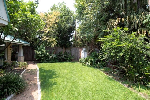 513 S Cynthia St, Mcallen, TX 78501 - view of yard