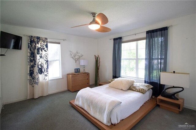 513 S Cynthia St, Mcallen, TX 78501 - bedroom with multiple windows, carpet floors, and ceiling fan