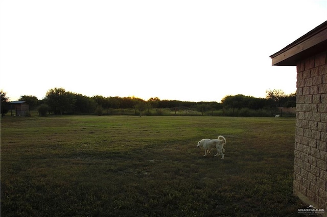 view of yard featuring a rural view