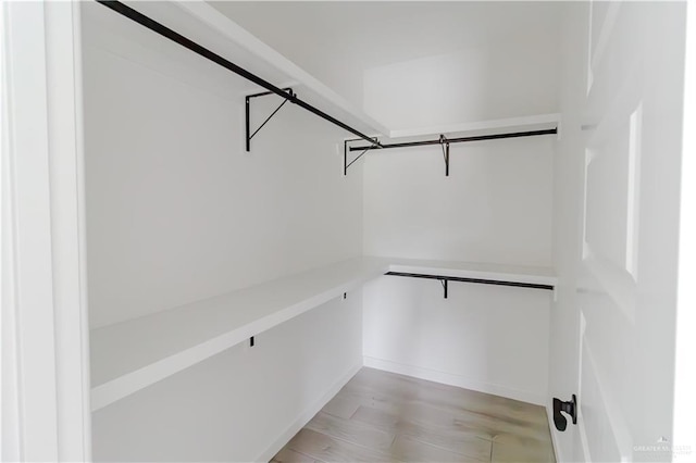 710 W Juarez Ave, Pharr, TX 78577 - spacious closet featuring light wood finished floors