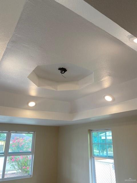 interior details featuring a raised ceiling