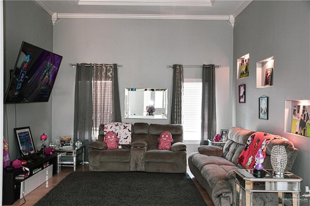 living room featuring crown molding