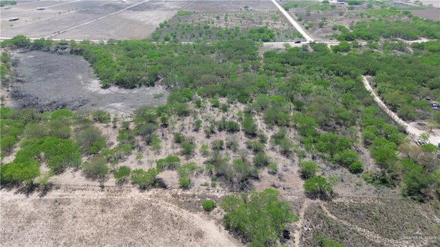 11925 Landing Dr, Edinburg, TX 78541 - photo 12