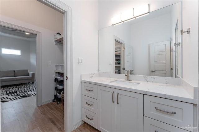 bathroom featuring vanity and wood-type flooring