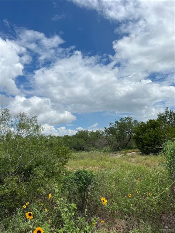 Listing photo 2 for TBD Fm 1017 Highway, San Isidro TX 78588