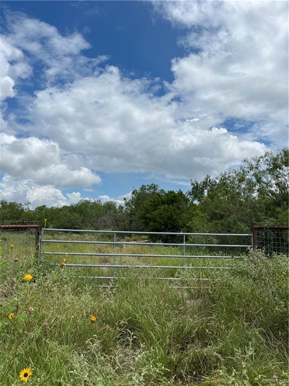 TBD Fm 1017 Highway, San Isidro TX, 78588 land for sale