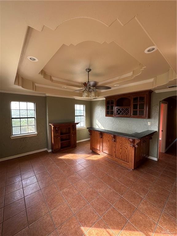 kitchen with ceiling fan, a wealth of natural light, and a tray ceiling