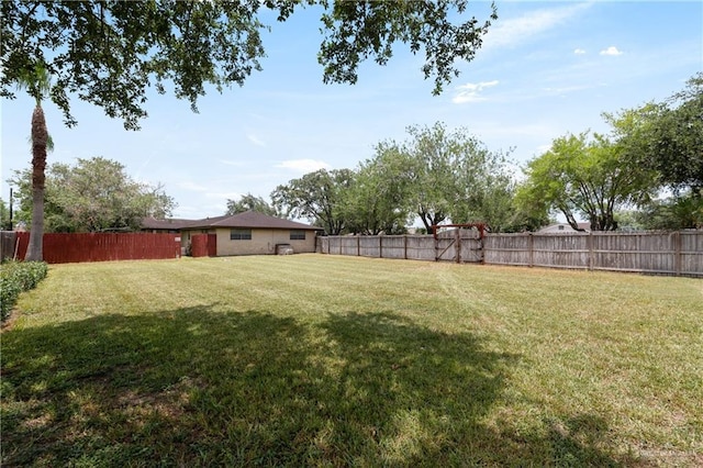 509 Lincoln Ln, La Feria, TX 78559 - view of yard