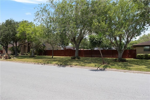 509 Lincoln Ln, La Feria, TX 78559 - view of asphalt road with curbs
