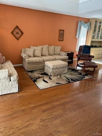 living room with hardwood / wood-style floors