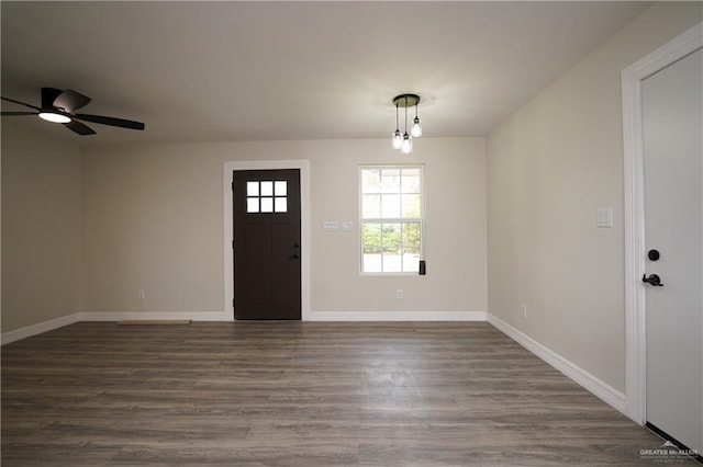 entrance foyer with dark hardwood / wood-style flooring and ceiling fan with notable chandelier