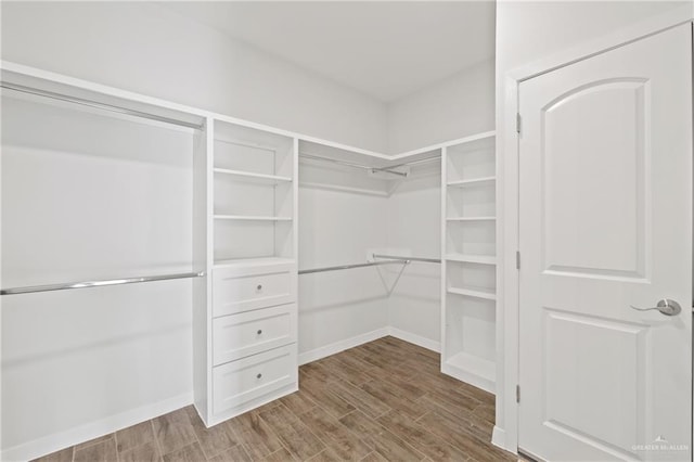 2214 N Gaytan St, Edinburg, TX 78542 - spacious closet with wood finished floors