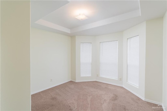 1610 E Yary Dr, Edinburg, TX 78542 - spare room with baseboards, carpet, and a raised ceiling