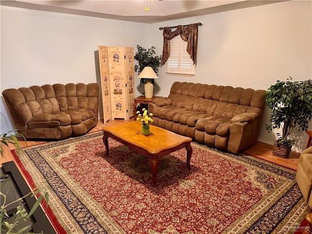 living room with hardwood / wood-style floors